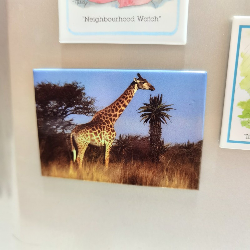 Custom Magnet Fridge Cute